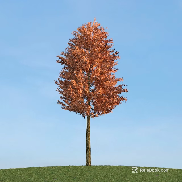 Tall Deciduous Tree with Orange Red Leaves Standing Against Clear Blue Sky 3d model 