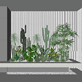 Modern Plant Plant Combinations 3d model