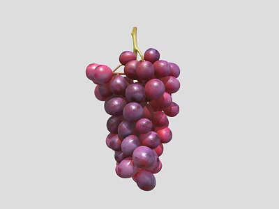 Fresh Ripe Purple Grapes Bunch With Green Stem On White Background 3d model