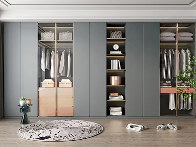 Modern Gray Wardrobe Interior Design With Hanging Sections Folded Clothes And Storage Boxes 3d model