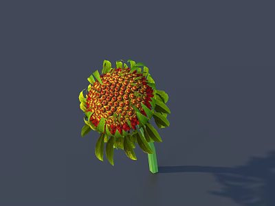 Vibrant Sunflower With Yellow Petals Green Leaves And Brown Center On Gray Background 3d model