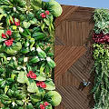 Living Plant Wall with Diverse Greenery Wooden Accents Enhancing Outdoor Space with Pebbles and Shrubs