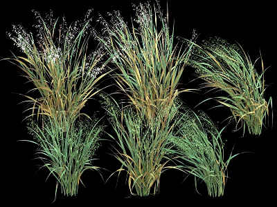 Various Types of Agricultural Crops With Green and Yellow Leaves and Flower Spikes 3d model