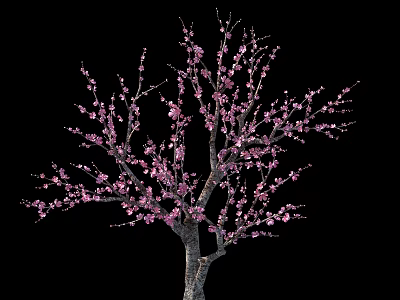 Beautiful Arbor Tree With Pink Blossoms On Branches And Brown Trunk 3d model
