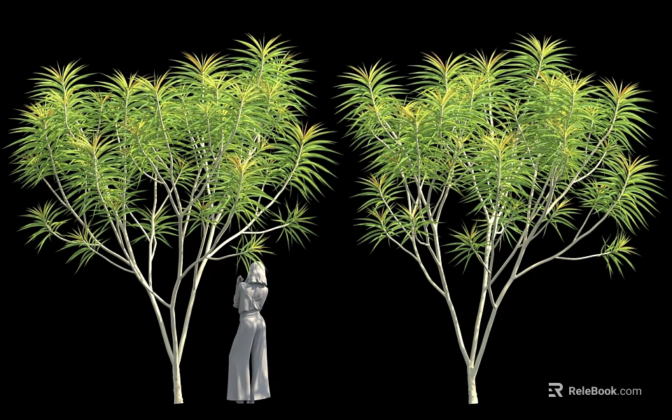 Two Trees With Long Green Leaves White Trunks Near Human Figure Statue On Black Background 3d model 