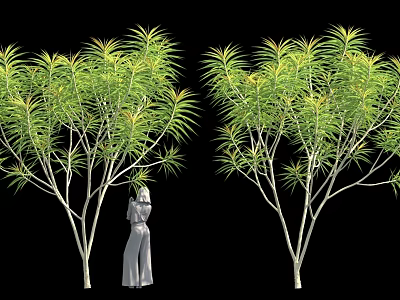Two Trees With Long Green Leaves White Trunks Near Human Figure Statue On Black Background 3d model
