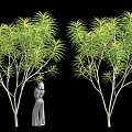 Two Trees With Long Green Leaves White Trunks Near Human Figure Statue On Black Background