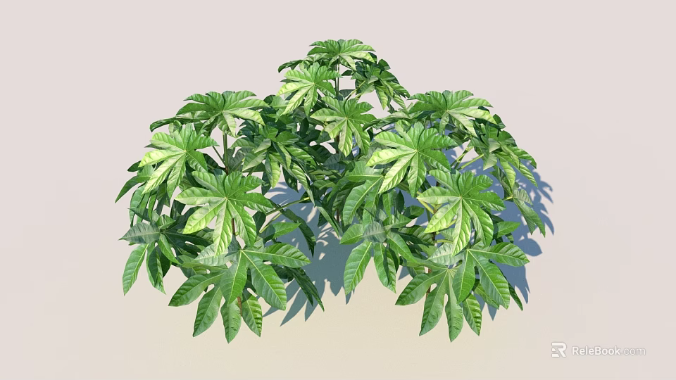 Lush Green Shrub with Vibrant Palm like Foliage in Garden Setting 3d model 