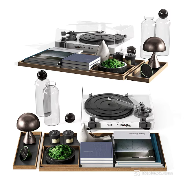 Modern Decorative Ornament Set With Turntable Books Green Plants Mushroom Decor And Wooden Trays 3d model 