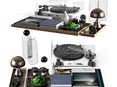 Modern Decorative Ornament Set With Turntable Books Green Plants Mushroom Decor And Wooden Trays 3d model