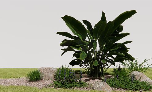 Modern plant of Cranchia 3d model