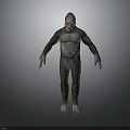 Standing Ape Like Creature With Full Body Hair And Upright Posture On Gray Background