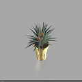 Decorative Bonsai Potted Plant With Green Long Leaves And Orange Flowers In Golden Pot