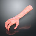 Detailed Human Arm And Hand 3D Render With Skin Texture On Dark Background And Reflection
