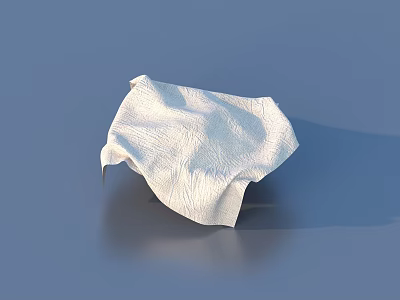 Soft White Wrinkled Household Tissue On Blue Surface For Daily Use 3d model