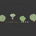 Collection of Various Green Plants with Different Sizes Shapes and Decorative Details