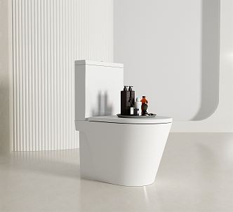 Modern toilet 3d model