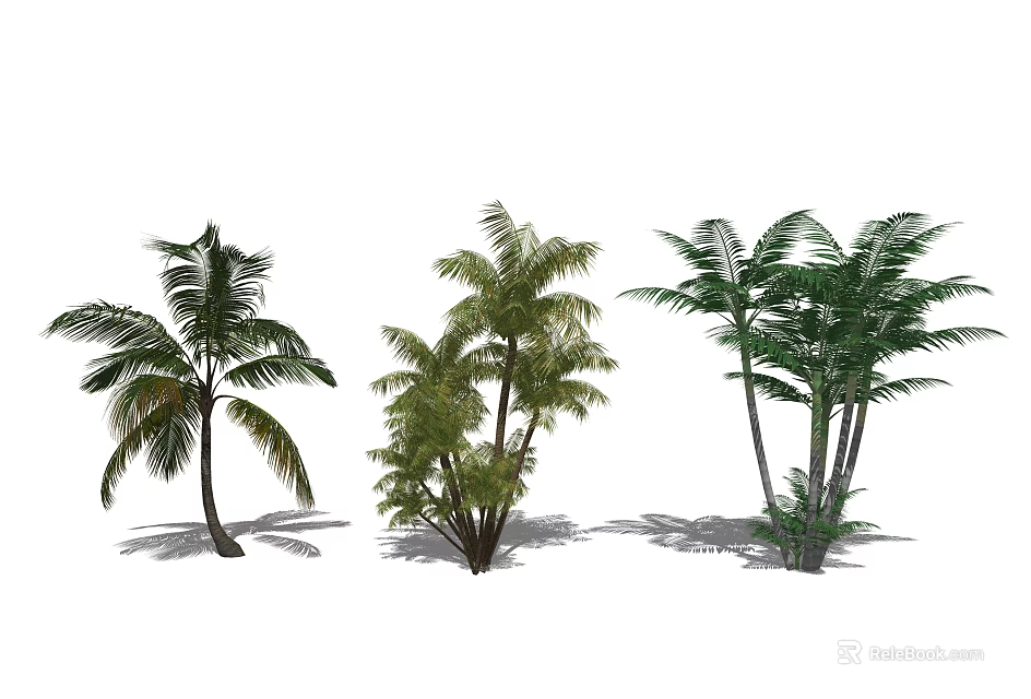 Three Palm Trees With Different Sizes And Lush Green Fronds 3d model 