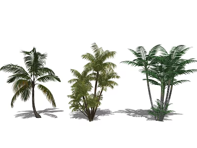 Three Palm Trees With Different Sizes And Lush Green Fronds 3d model