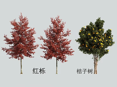 Red Oak Trees with Red Leaves and Orange Tree Bearing Yellow Fruits in Outdoor View 3d model
