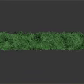 Decorative Green Plant Wreath Composed Of Lush Fresh Foliage In Circular Form