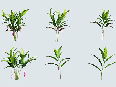 Various Green Leafy Plants With Pink Flowers Displayed On White Background 3d model