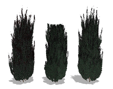 Modern Shrubs Garden Shrubs 3d model