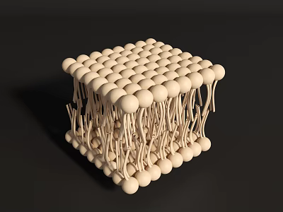 Organizational System With Cubic Structure And Interconnected Spherical Components 3d model