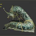 Turquoise Spotted Snail Like Creature With Antennae And Mucus Like Strands On Base Platform