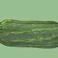 Two Fresh Green Zucchini Vegetables With Striped Skin On White Background