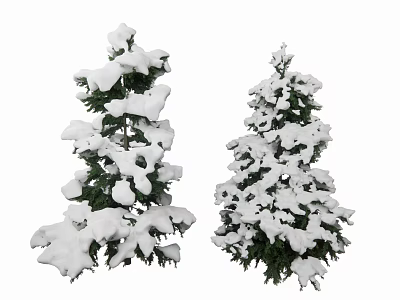 Snow Covered Evergreen Trees With Lush Green Foliage In Winter Scene 3d model