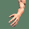 Muscular Male Arm 3D Model With Extended Hand On Green Background