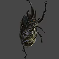 Detailed Bronze Beetle Sculpture With Realistic Horns And Legs Design