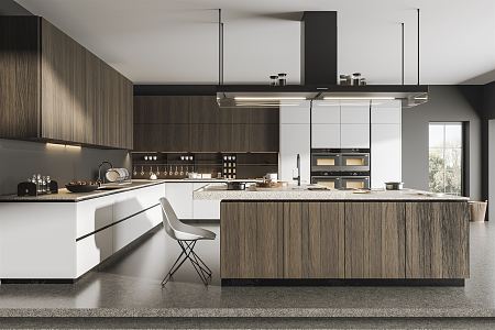 Modern Kitchen 3d model