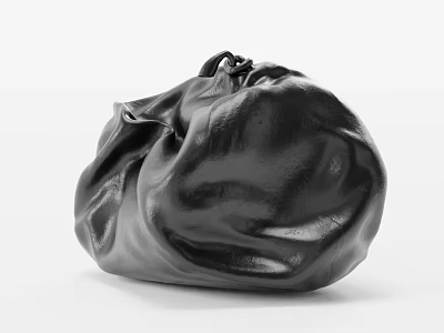 Black Leather Daily Accessory Bag With Soft Wrinkled Texture And Fashion Design 3d model