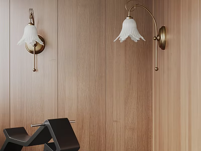 Modern Wall Lamps On Wooden Wall With White Bell Shaped Shades And Brass Brackets 3d model