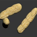 Three Roasted Peanuts With Crunchy Texture And Golden Color On Dark Surface