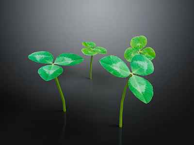 Fresh Green Clover Plants With Shiny Leaves And Slender Stems On Dark Background 3d model