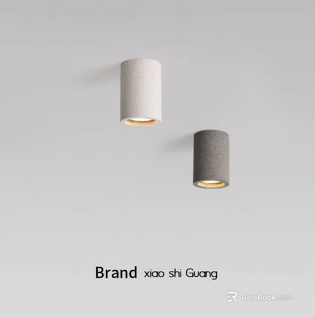 Downlights and Spotlights in White and Gray Modern Cylindrical Design Mounted on Wall 3d model 