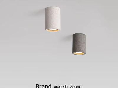 Downlights and Spotlights in White and Gray Modern Cylindrical Design Mounted on Wall 3d model