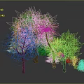 Variety Of Green Trees And Plants With Different Foliage Types 3d model