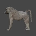 Lifelike 3D Baboon Model Standing With Realistic Fur In Natural Background