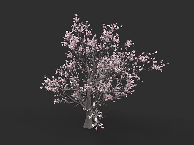 Botanical Painting of a Tree with Pink Blossoms Against Dark Background 3d model