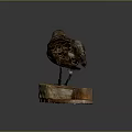 Detailed Bird Taxidermy Specimen Perched On Wooden Stump Against Dark Background