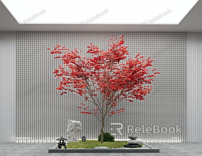 Modern landscape sketch courtyard sketch plant landscaping rockery stone indoor landscape fern red maple model