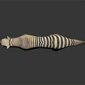 3D Rendered Thylacine Model With Striped Tail Standing On Gray Background With Reflection