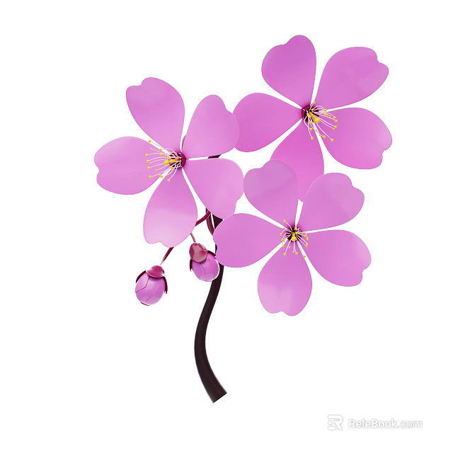 Pink Flower Plant Featuring Blooming Petals Stamens Small Buds And Black Stem 3d model 