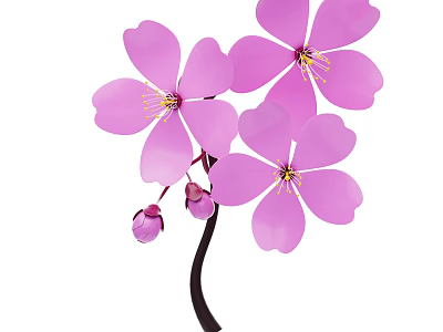 Pink Flower Plant Featuring Blooming Petals Stamens Small Buds And Black Stem 3d model