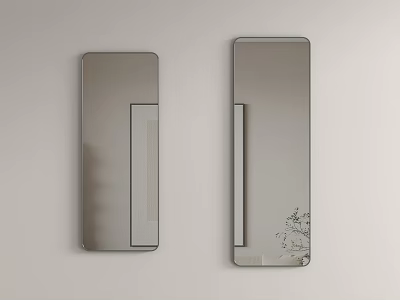 Two Rectangular Wall Mounted Mirrors With Building And Plant Reflections On Light Wall 3d model