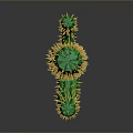 Green Cactus Plant With Yellow Spines On Gray Gradient Background And Bottom Reflection 3d model